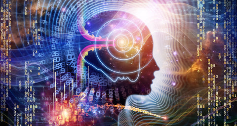 The Future of Consciousness Exploration: Trends and Innovations